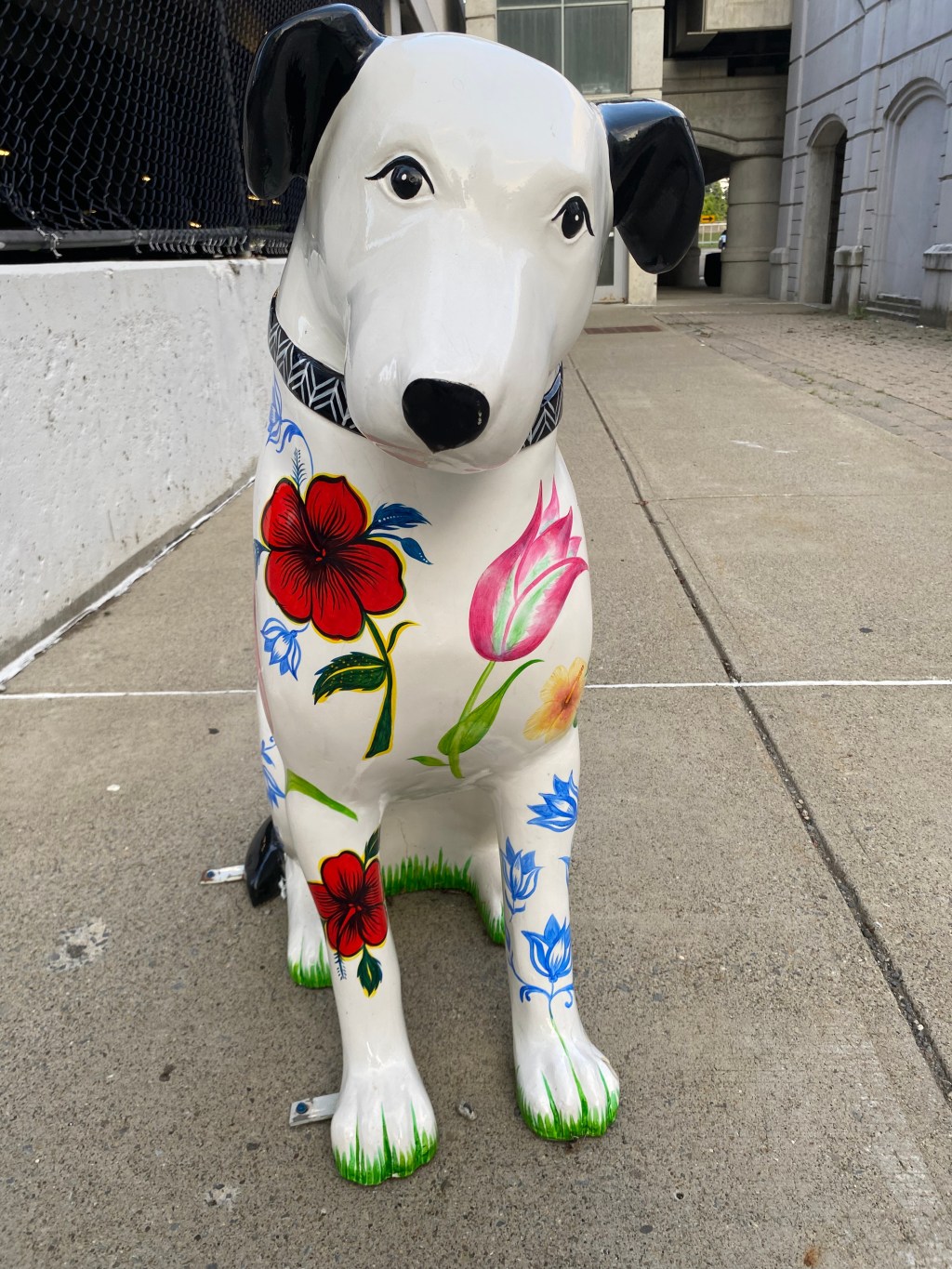 Nipper Dog – Maiden Lane, Albany, NY&nbsp;518