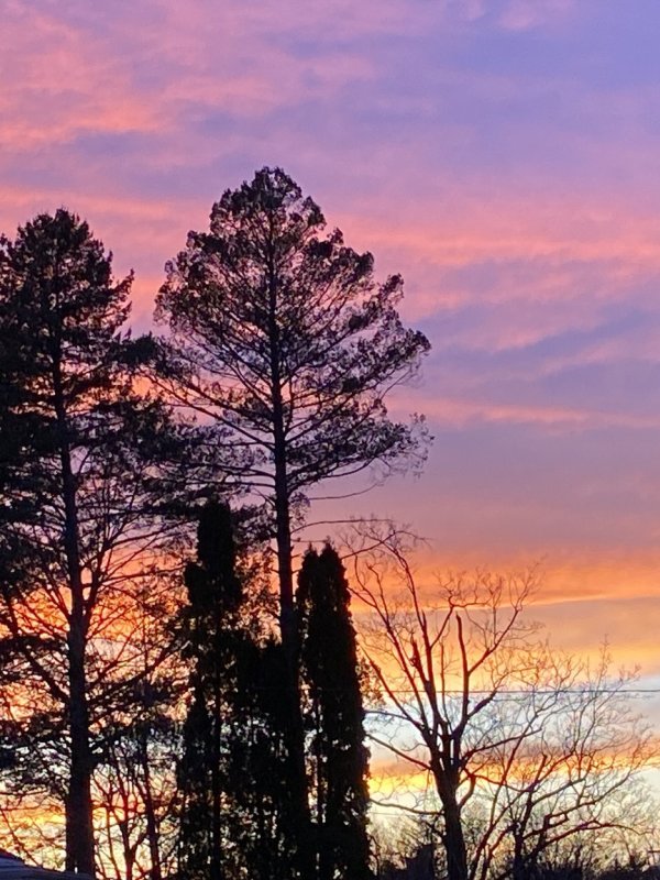 Sunset over the Pine Hills – Buckingham, Albany, NY&nbsp;518